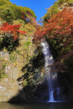 Minoh şelale Güz, Osaka, Japonya