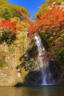 Minoh şelale Güz, Osaka, Japonya