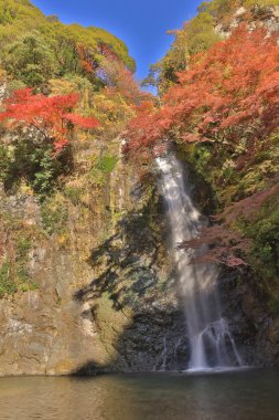 Minoh şelale Güz, Osaka, Japonya