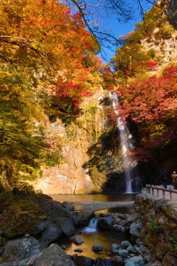 Minoh şelale Güz, Osaka, Japonya