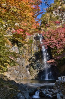 Bir şelale ile Japon maples Osaka.