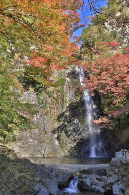Minoh şelale Güz, Osaka, Japonya