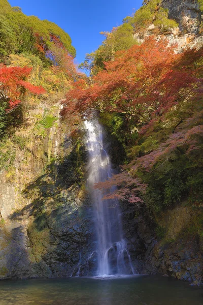 Een waterval met Japanse Esdoorns in Osaka. — Stockfoto