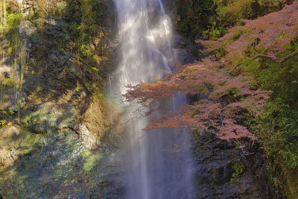 A waterfall with Japanese maples in Osaka. — Stock Photo, Image