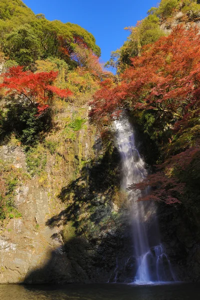Minoh şelale Güz, Osaka, Japonya