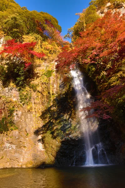 Minoh şelale Güz, Osaka, Japonya
