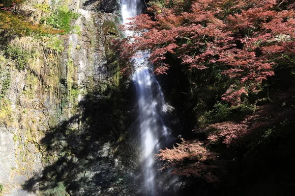 Una cascada con arces japoneses en Osaka . — Foto de Stock