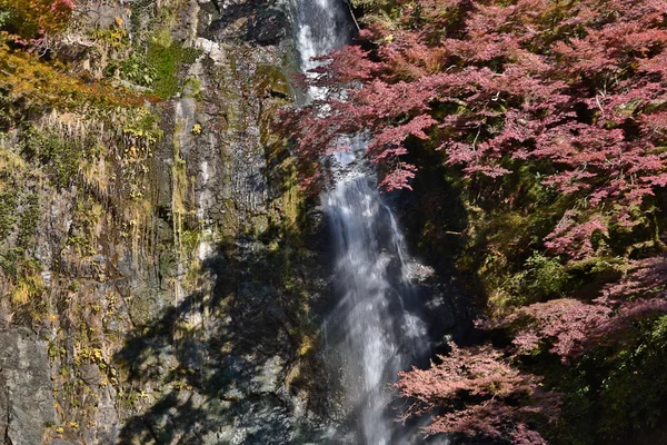 Una cascada con arces japoneses en Osaka . — Foto de Stock