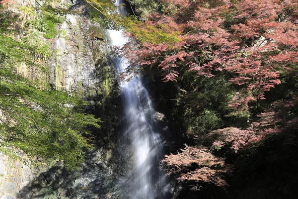 Cascada de Minoh en otoño, Osaka, Japón — Foto de Stock