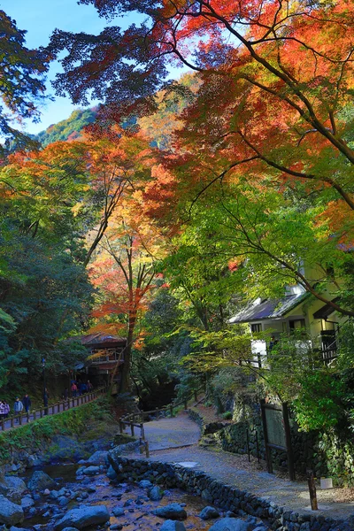 Wodospad Minoh w jesieni, Osaka, Japonia — Zdjęcie stockowe