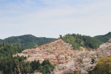 Yoshino Mikumari Tapınak, Yoshinoyama, Nara