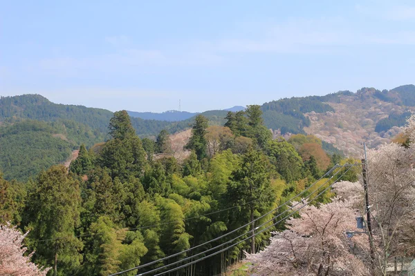 Yoshino mikumari-Schrein, yoshinoyama, nara, — Stockfoto