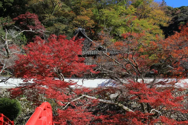 Autunno Minoo Takianji a Osaka, Giappone . — Foto Stock