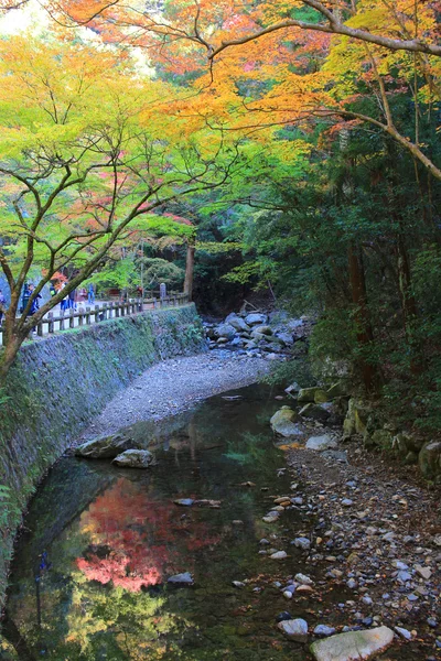 Minoh-Wasserfall im Herbst, osaka, japan — Stockfoto