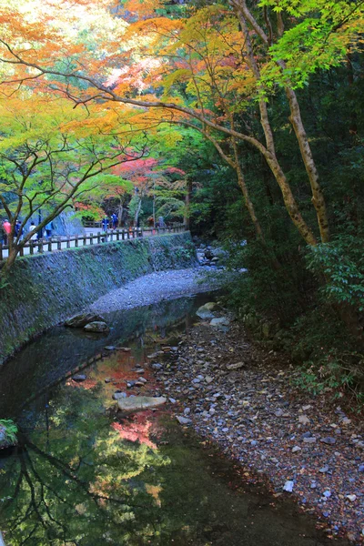 秋天的时候，日本大阪箕瀑布 — 图库照片