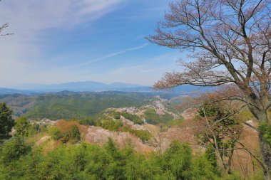 Yoshinoyama, Nara, Japonya