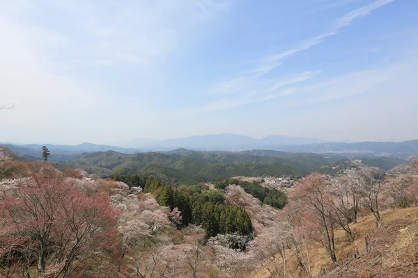 Yoshinoyama，奈良日本 — 图库照片