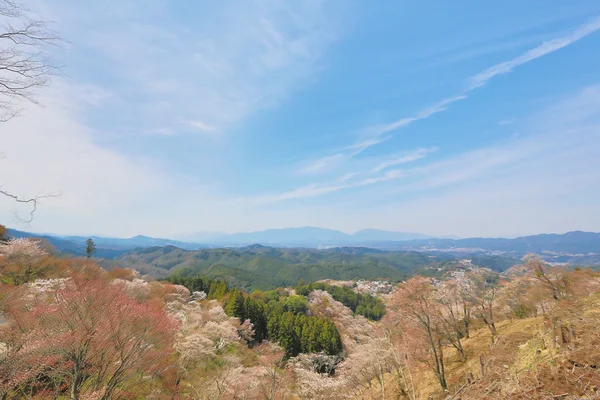 Yoshinoyama, Nara, Japonia — Zdjęcie stockowe