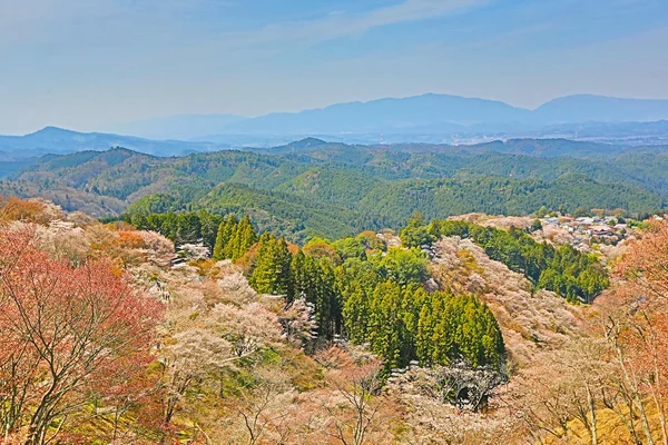 Yoshinoyama, Nara, Japan — Stock Photo, Image