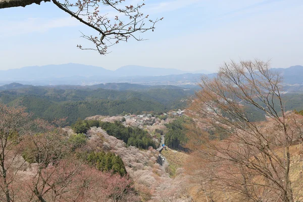 Yoshinoyama, Nara, Japonsko — Stock fotografie