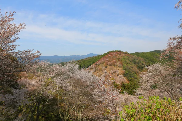 Yoshinoyama, Nara, Japan op het voorjaar — Stockfoto