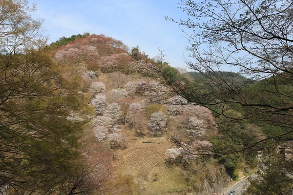 Yoshinoyama, nara, japan an der Quelle — Stockfoto