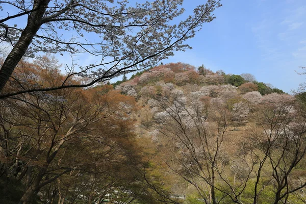 Yoshinoyama, nara, japan an der Quelle — Stockfoto
