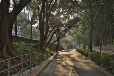  Manzara altın güneş ışınları ile vurdu 