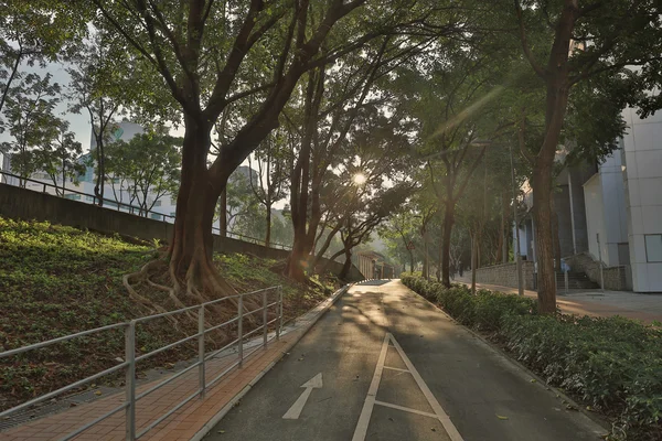 用金色的阳光拍摄的风景 — 图库照片