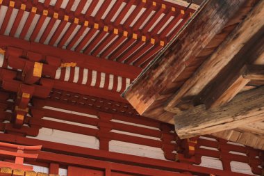 çatı Japonya Tapınağı