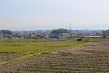 alanların teraslı içinde Japonya