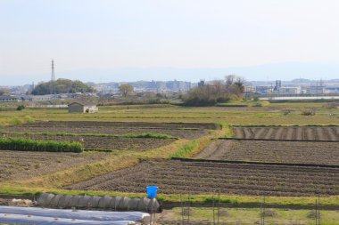 alanların teraslı içinde Japonya