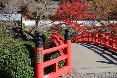  Sonbahar Minoo Takianji Osaka, Japonya.