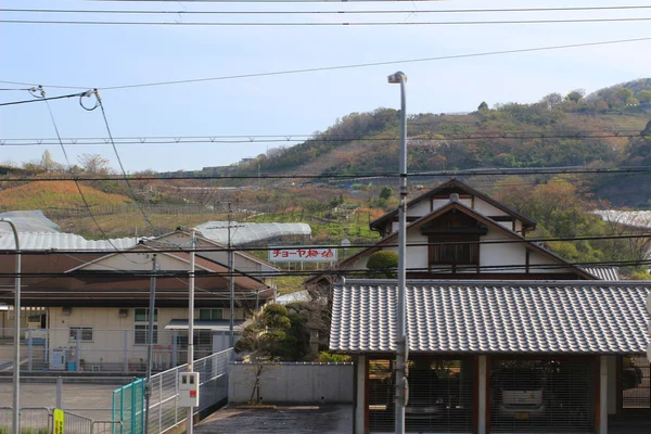 Campos en terrazas en Japón — Foto de Stock