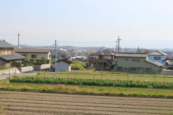 alanların teraslı içinde Japonya