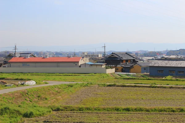 Campos em terraços no Japão — Fotografia de Stock