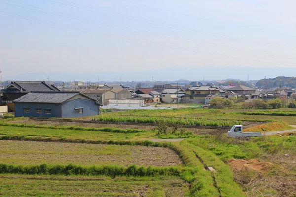 Pole na terasovité v Japonsku — Stock fotografie