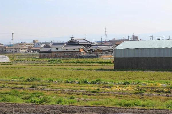 Felder auf Terrassen in Japan — Stockfoto