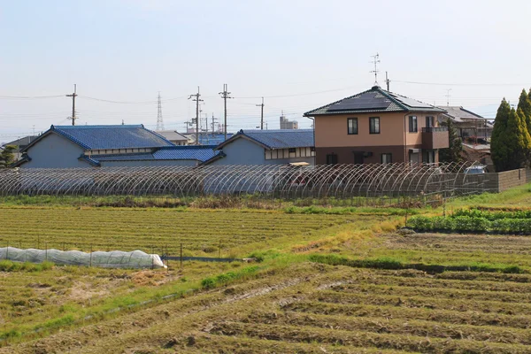 A teraszos japán mezői — Stock Fotó