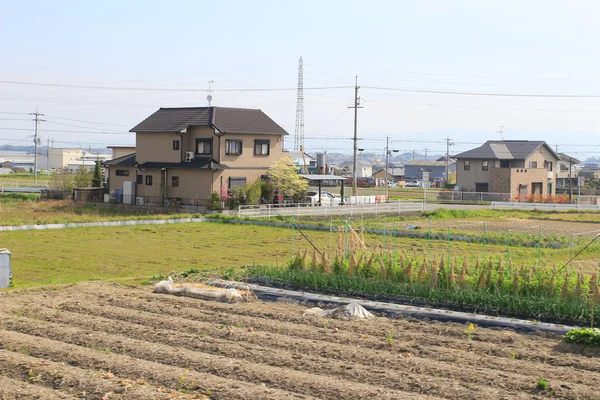 Campos em terraços no Japão — Fotografia de Stock