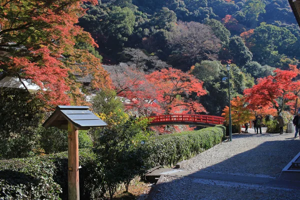 Herbst minoo takianji in osaka, japan. — Stockfoto