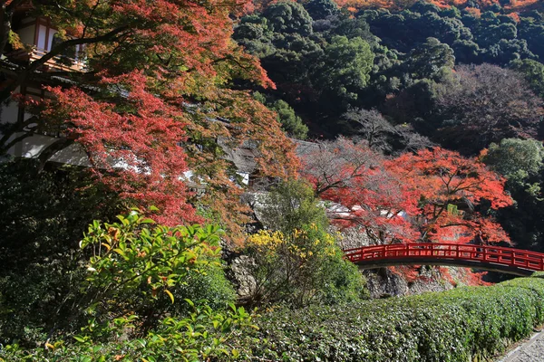 大阪で秋の箕面 Takianji. — ストック写真