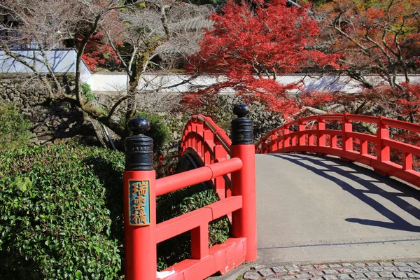 Η Μινού φθινόπωρο Takianji στην Οσάκα της Ιαπωνίας. — Φωτογραφία Αρχείου