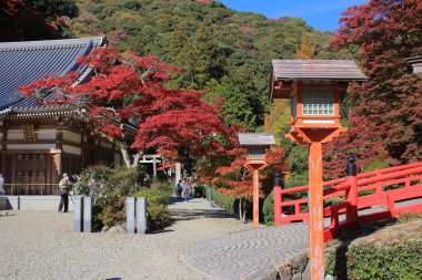  Sonbahar Minoo Takianji Osaka, Japonya.