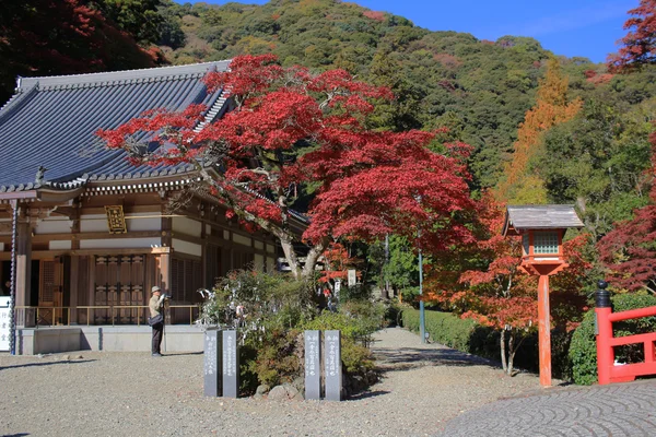 Minoo Takianji outono em Osaka, Japão . — Fotografia de Stock