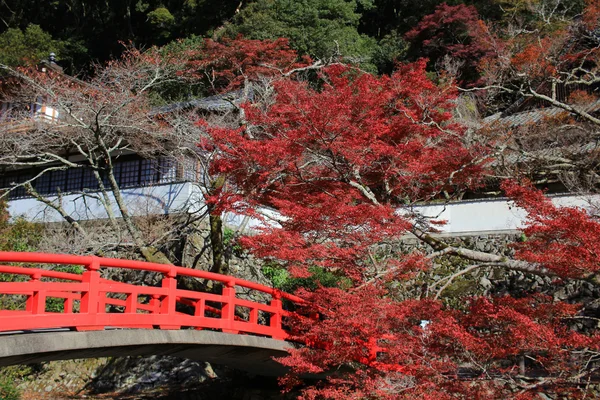 Herfst Minoo Takianji in Osaka, Japan. — Stockfoto