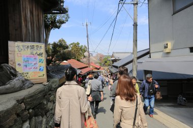 Yoshino kiraz çiçeği tam Bloom