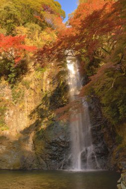 Minoh şelale Güz, Osaka, Japonya