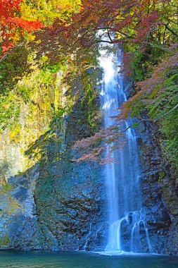 Bir şelale ile Japon maples Osaka.