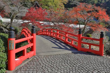  Sonbahar Minoo Takianji Osaka, Japonya.